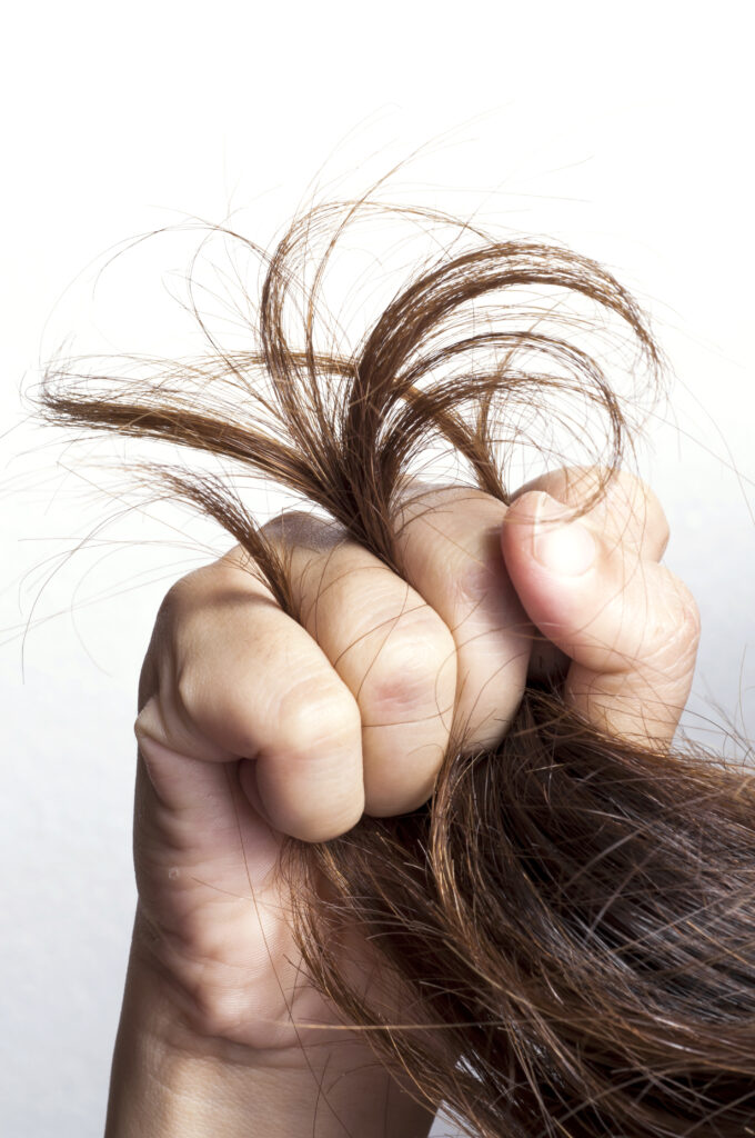 caida de cabello, enfermedades que causan caida de cabello en mujeres, cauda de cabello tratamiento, causas de la caida del cabello, caida del cabello mujer, peluqueria pamplona, peluqueria cerca de mi